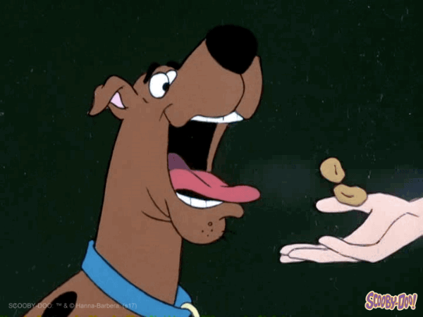 Scooby Gif_If You Could Clone Yourself